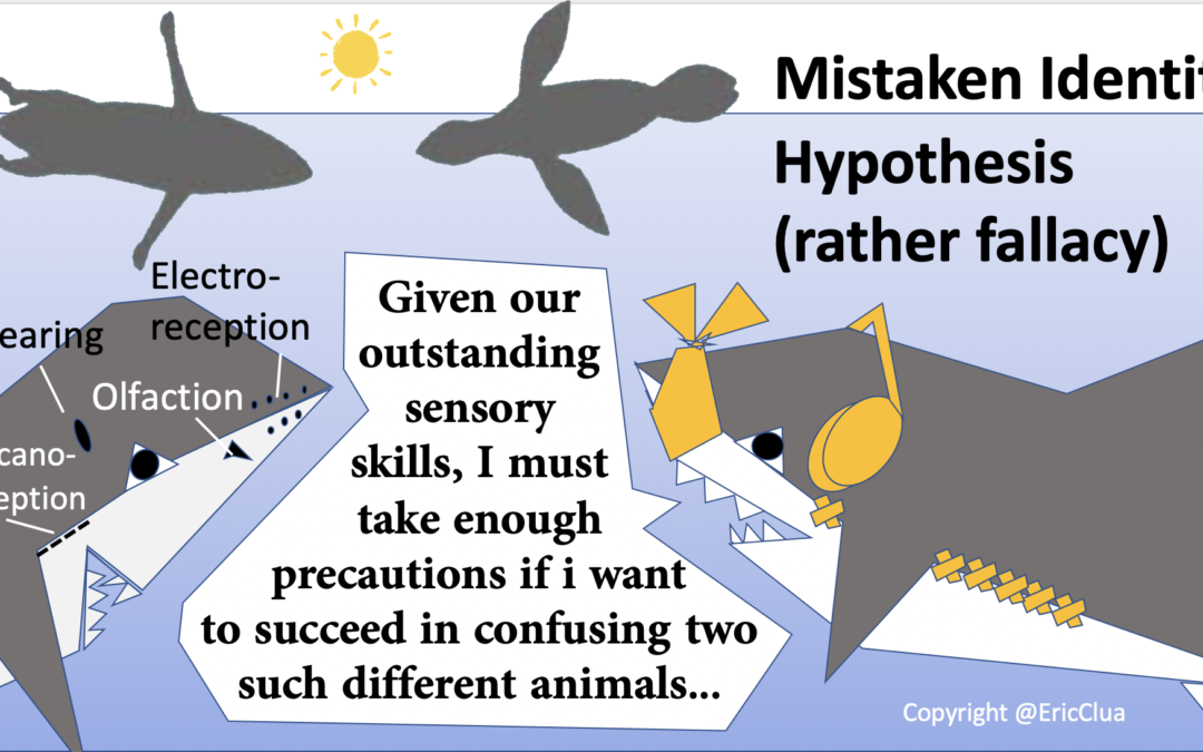 Deconstruction of the “Mistaken Identity Hypothesis” in sharks