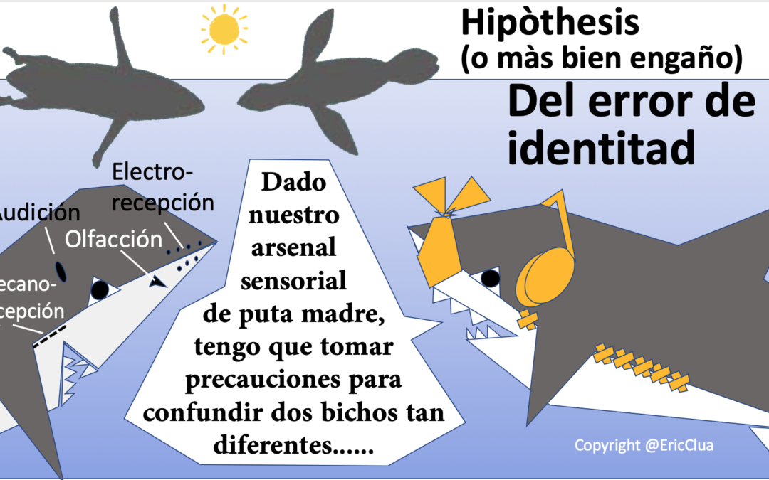Deconstruyendo la «hipótesis del error» en los tiburones