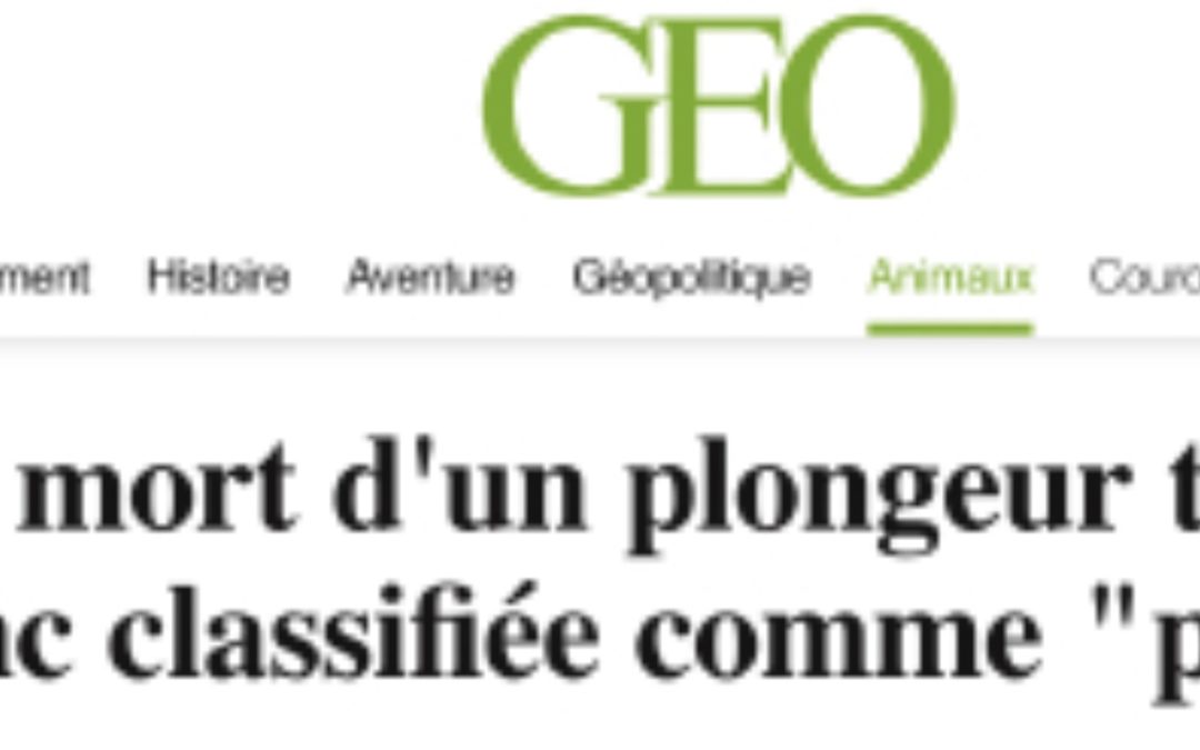 « Provoquée ou pas : la question débile concernant les morsures de requins… »