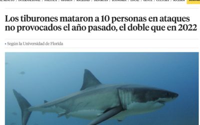 » Provocado o no : la tonta pregunta sobre los ataques de tiburón … «